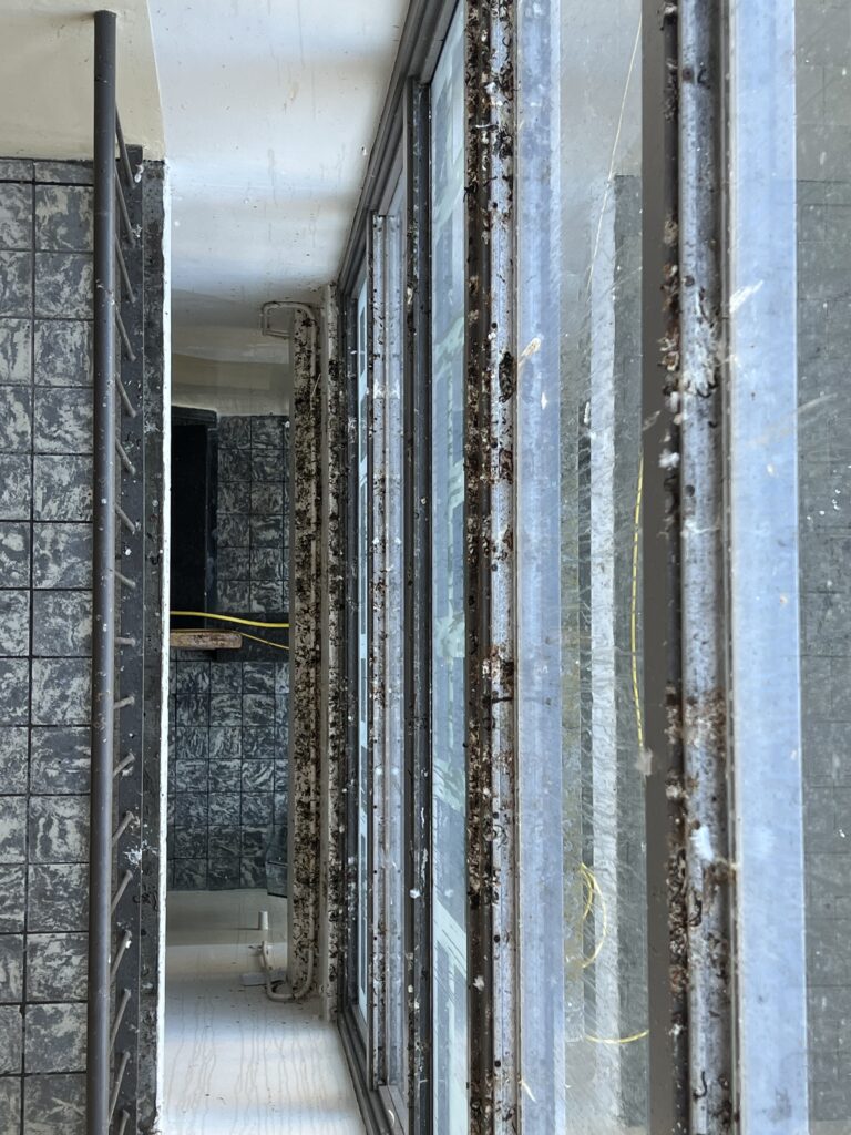 Duivenpoep in een trappenhuis - Glazenwassers en Schoonmaakbedrijf Aquarel Haarlem