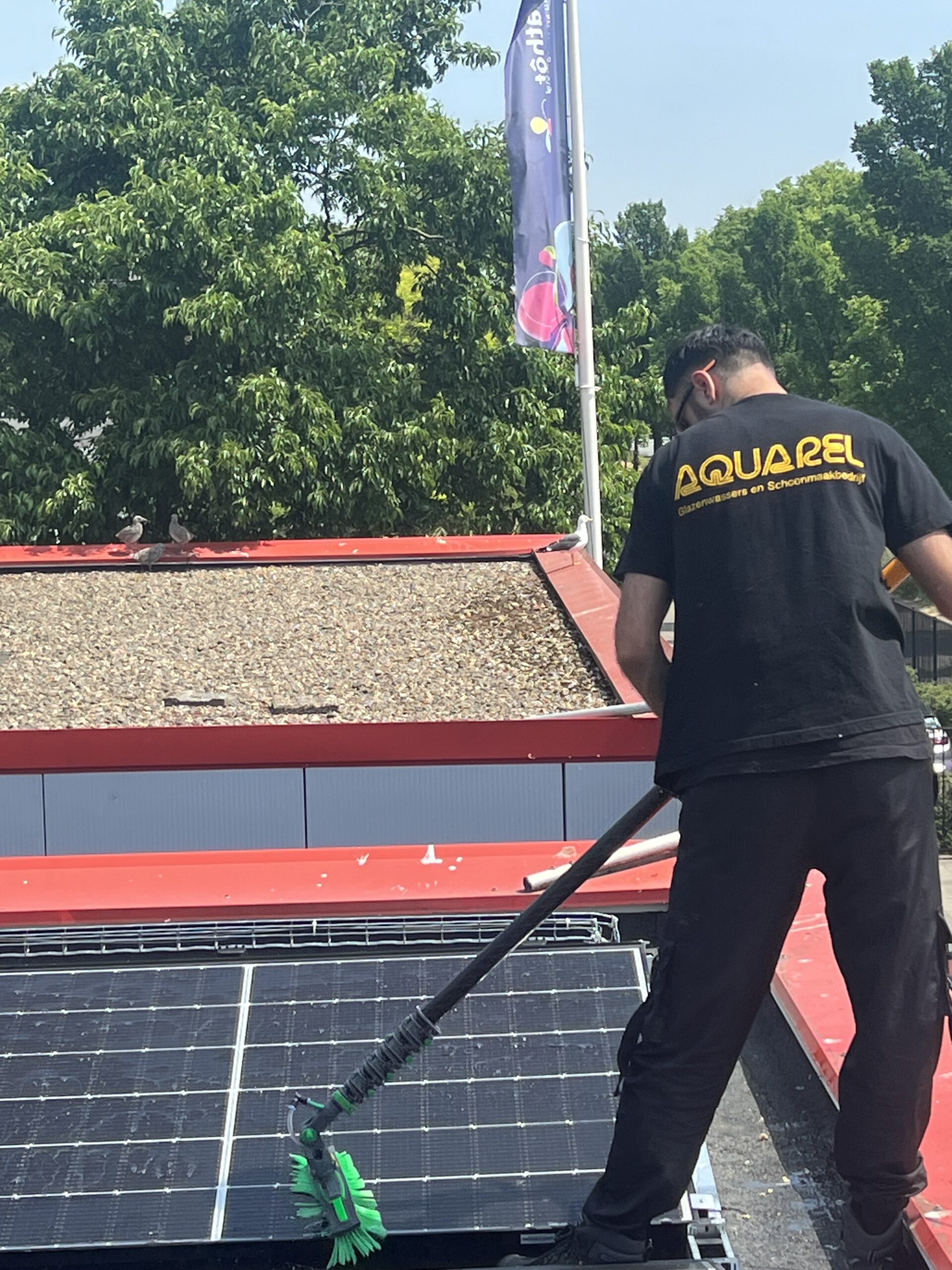 Zonnepanelen schoonmaken door Aquarel op een plat dak